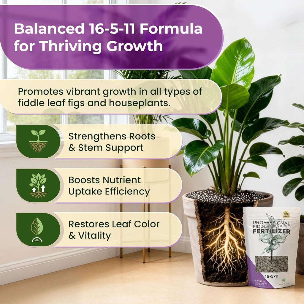 Fiddle Leaf Fig and House Plant Fertilizer Pellets | 16-5-11 Slow Release