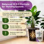 Fiddle Leaf Fig and House Plant Fertilizer Pellets | 16-5-11 Slow Release