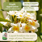 Leaves and Soul Plumeria Professional Liquid Fertilizer - Complete 3-5-4 Nutrient Blend Concentrate for Enhanced Blooming & Growth - Perfect for Garden & Indoor Plants, Easy Application - 8 oz
