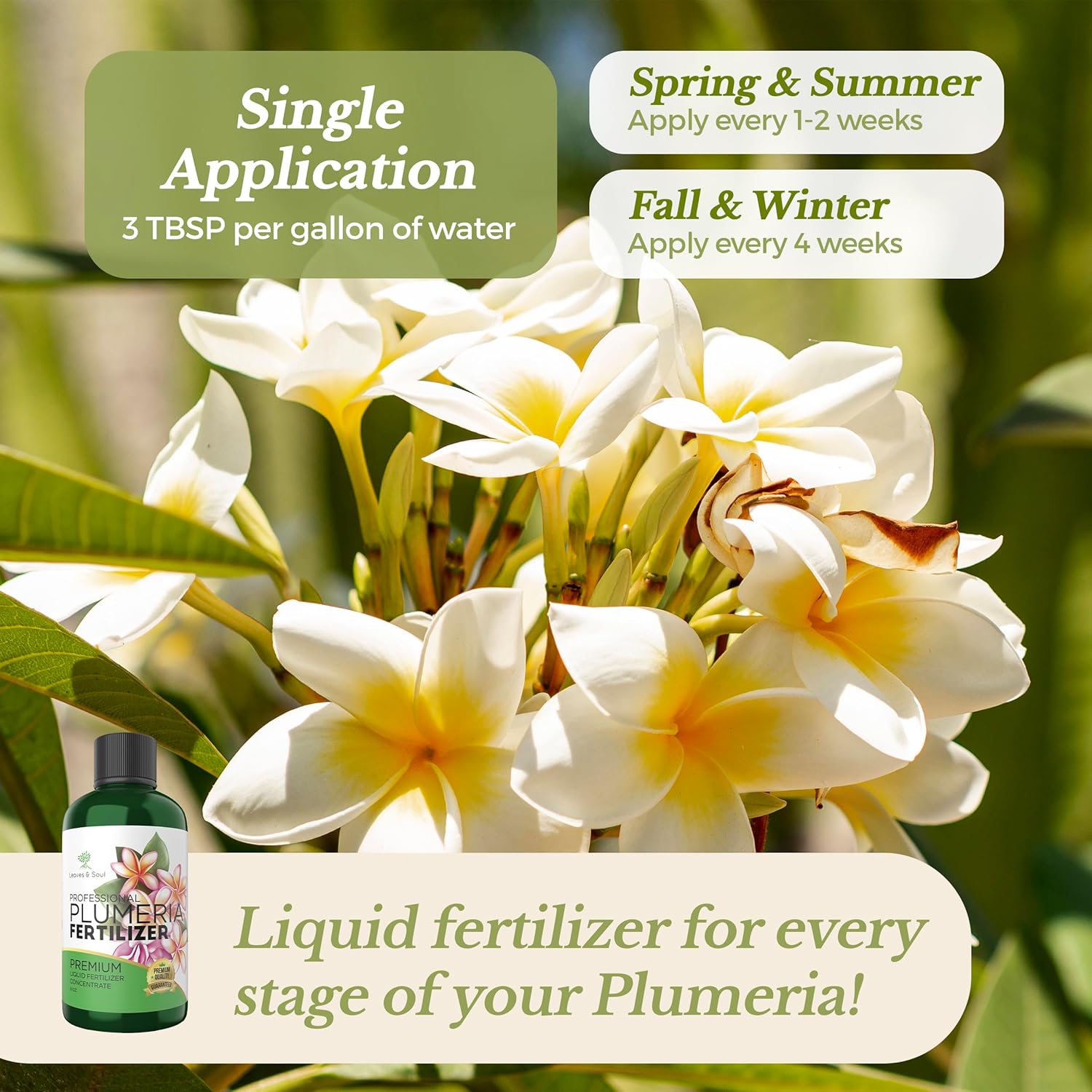 Leaves and Soul Plumeria Professional Liquid Fertilizer - Complete 3-5-4 Nutrient Blend Concentrate for Enhanced Blooming & Growth - Perfect for Garden & Indoor Plants, Easy Application - 8 oz