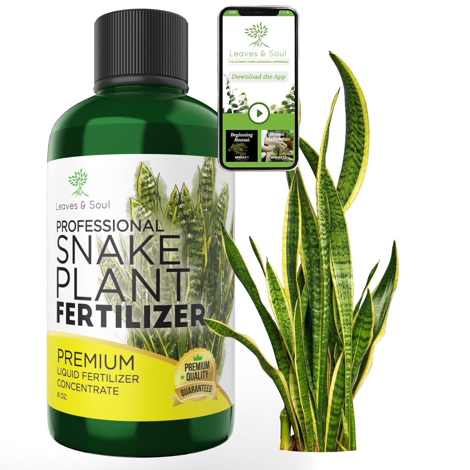 Professional Liquid Snake Plant Fertilizer