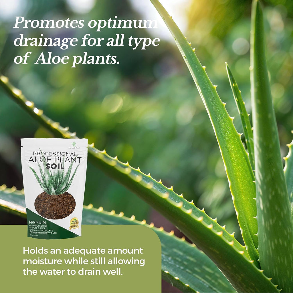 Professional Aloe Plant Soil | Pre-Mixed 2.2 Dry Quarts