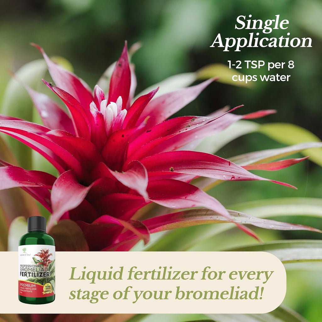 Professional Liquid Bromeliad Plant Fertilizer