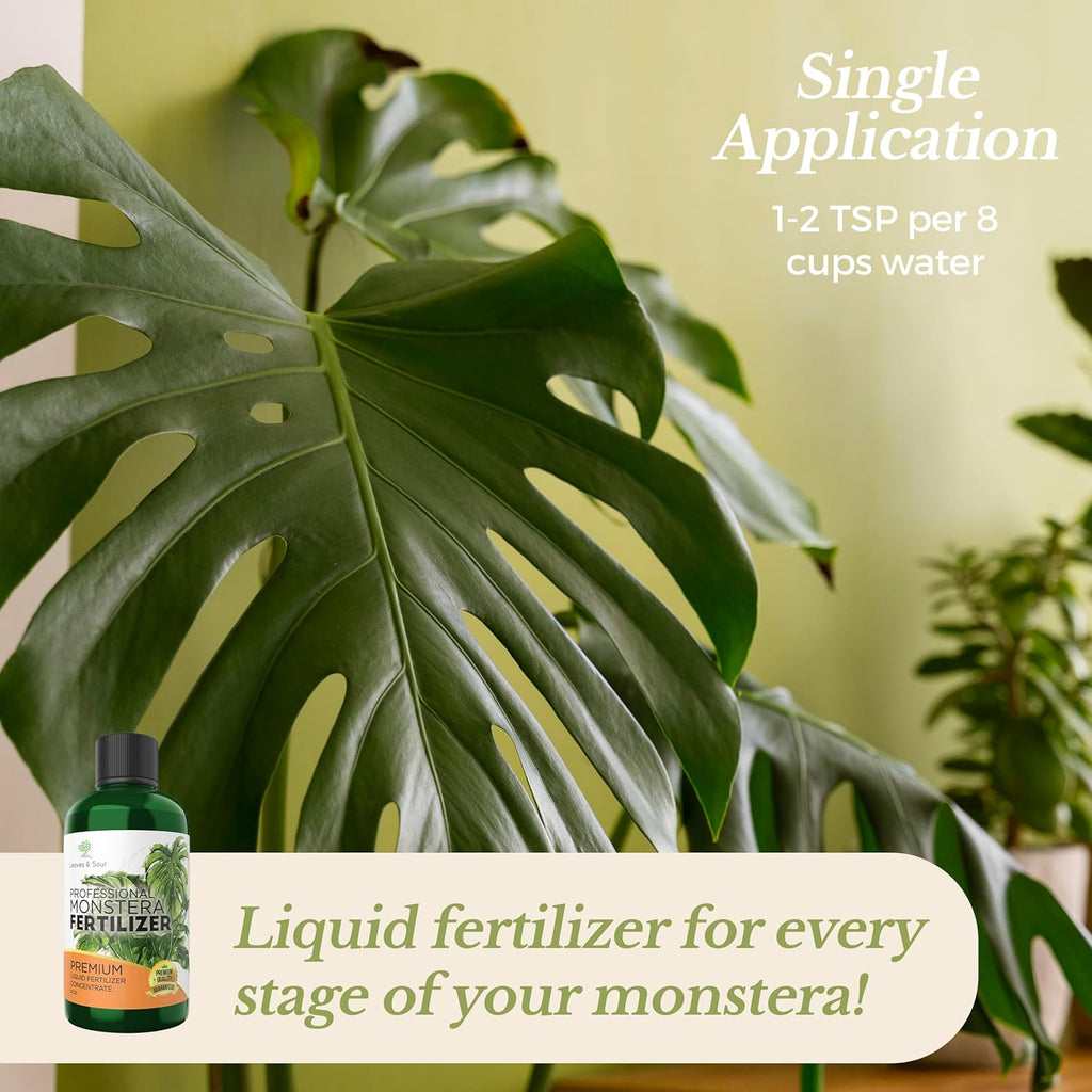 best fertilizer for monstera plant Professional Monstera Plant Fertilizer – Leaves and Soul