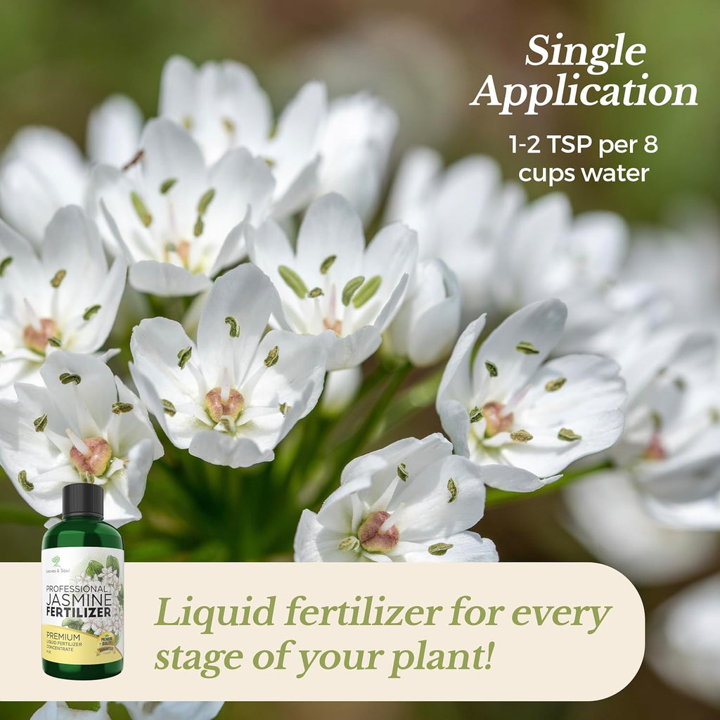 best organic fertilizer for jasmine plant Professional Liquid Jasmine Fertilizer