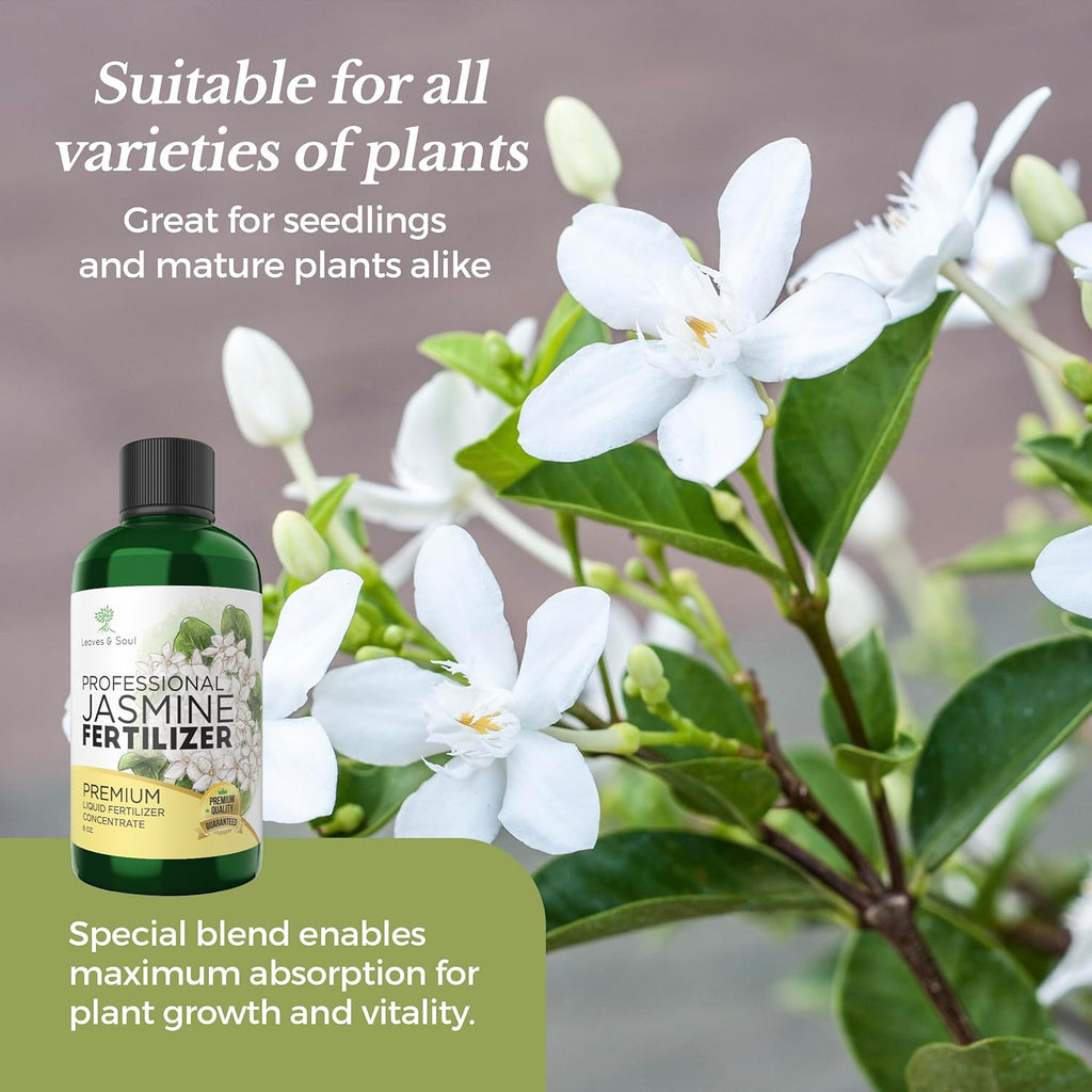 Professional Liquid Jasmine Fertilizer | 3-1-2 Concentrate for Plants and Flowers | 8 oz Bottle (Jasmine)