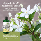 Professional Liquid Jasmine Fertilizer | 3-1-2 Concentrate for Plants and Flowers | 8 oz Bottle (Jasmine)