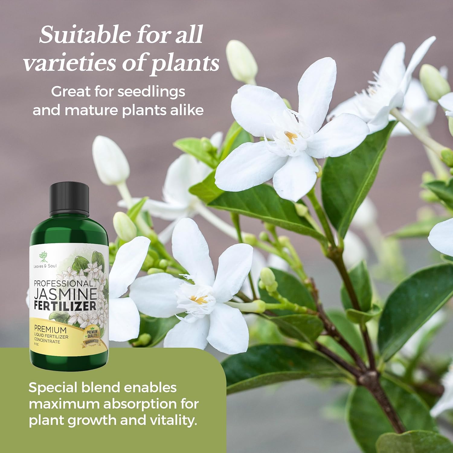 Professional Liquid Jasmine Fertilizer | 3-1-2 Concentrate for Plants and Flowers | 8 oz Bottle (Jasmine)