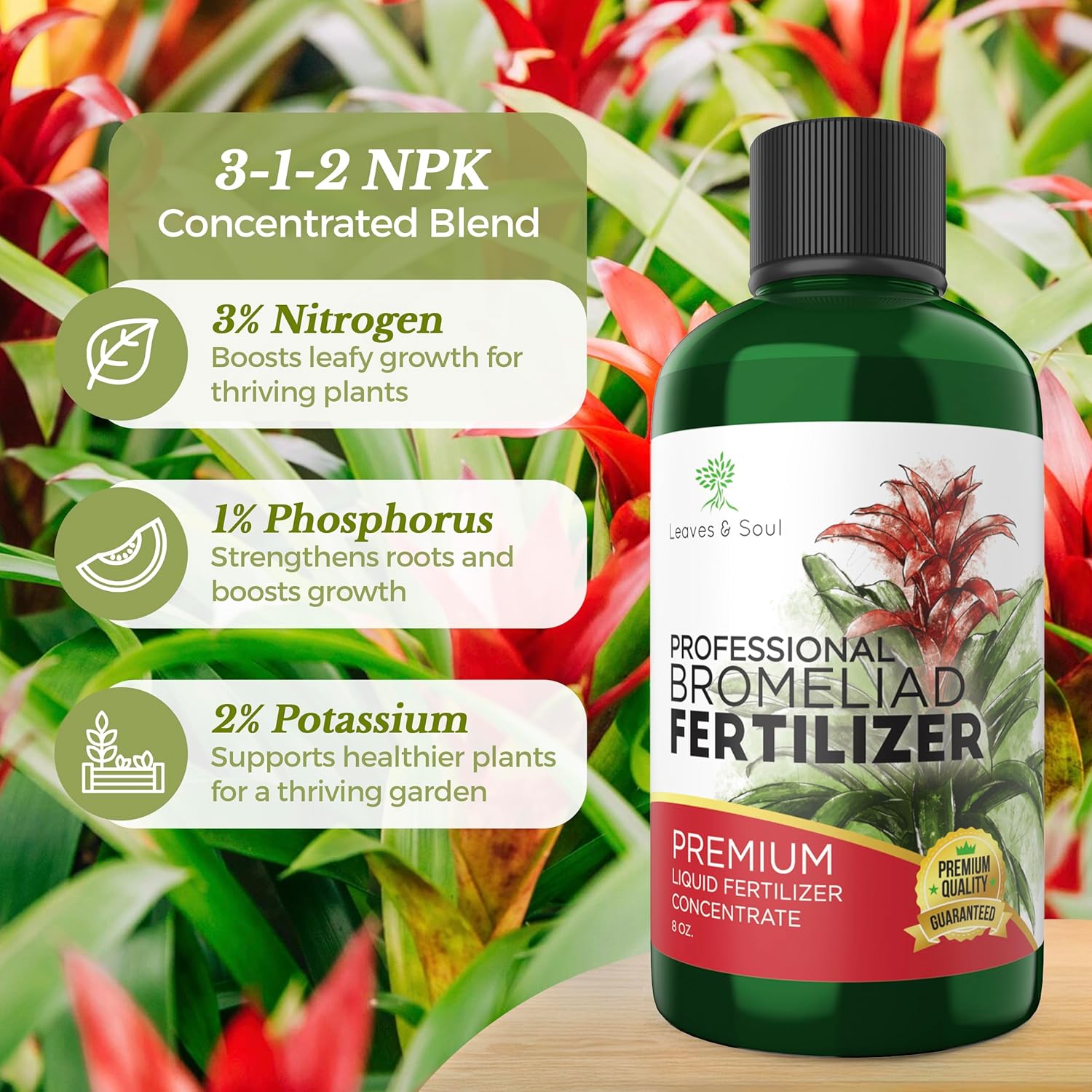 fertilizer for leafy plants Professional Liquid Bromeliad Plant Fertilizer – Leaves and Soul