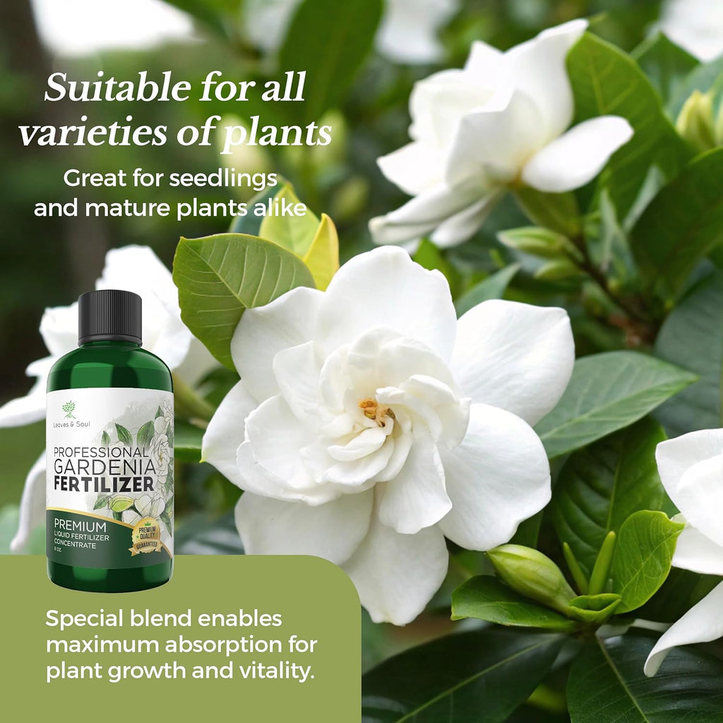 perfect plants gardenia liquid fertilizer Professional Liquid Gardenia Plant Fertilizer | 3-1-2 Concentrate for Flowering Plants