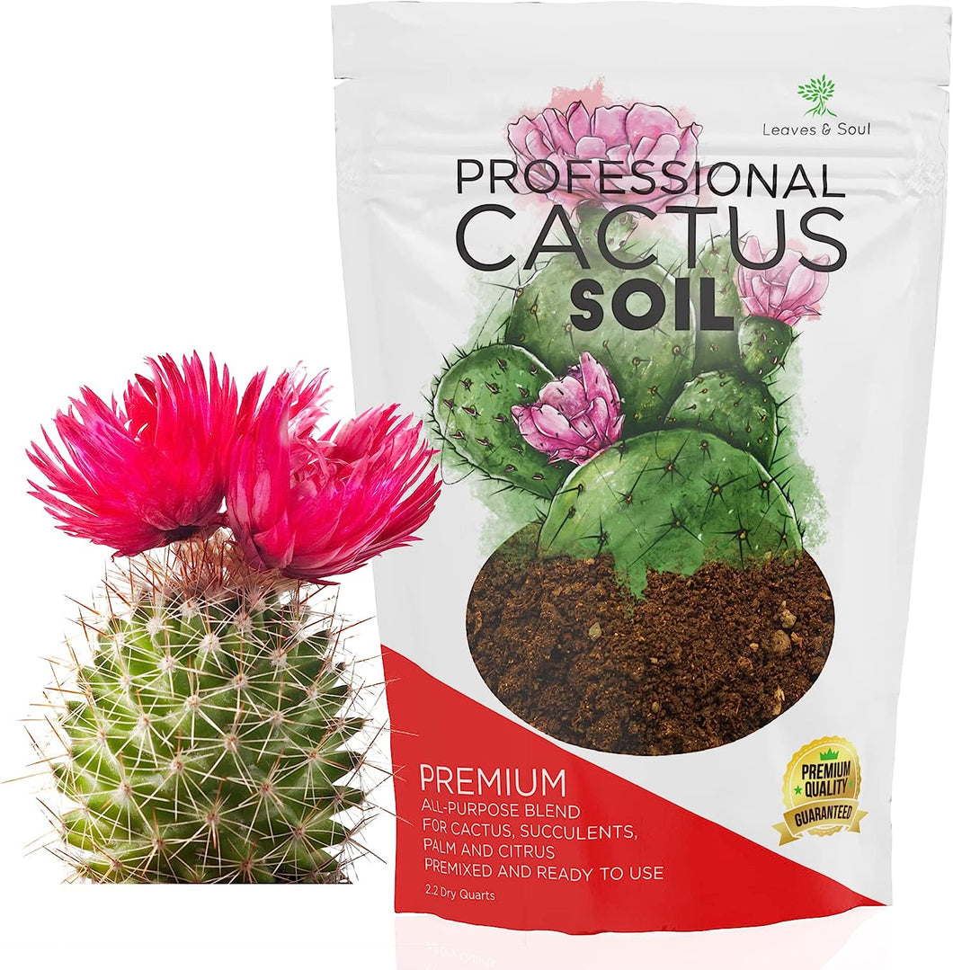 Professional Cactus Soil | Large 2.2 Quarts Ready to Use for Cactus Plants | Peat Moss, Coco Coir, Perlite, Dolomite