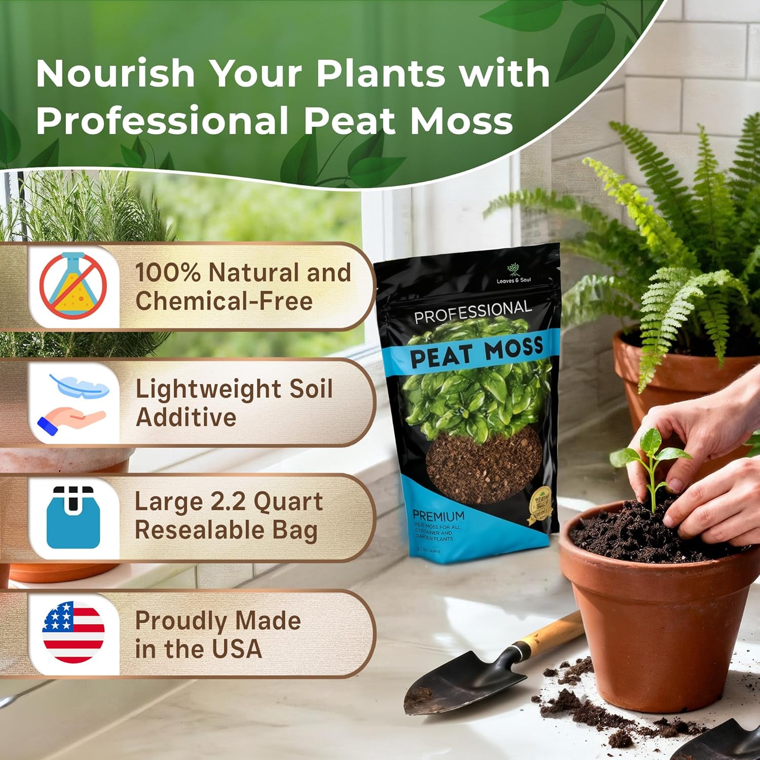 Professional Peat Moss for Container and Garden Plants