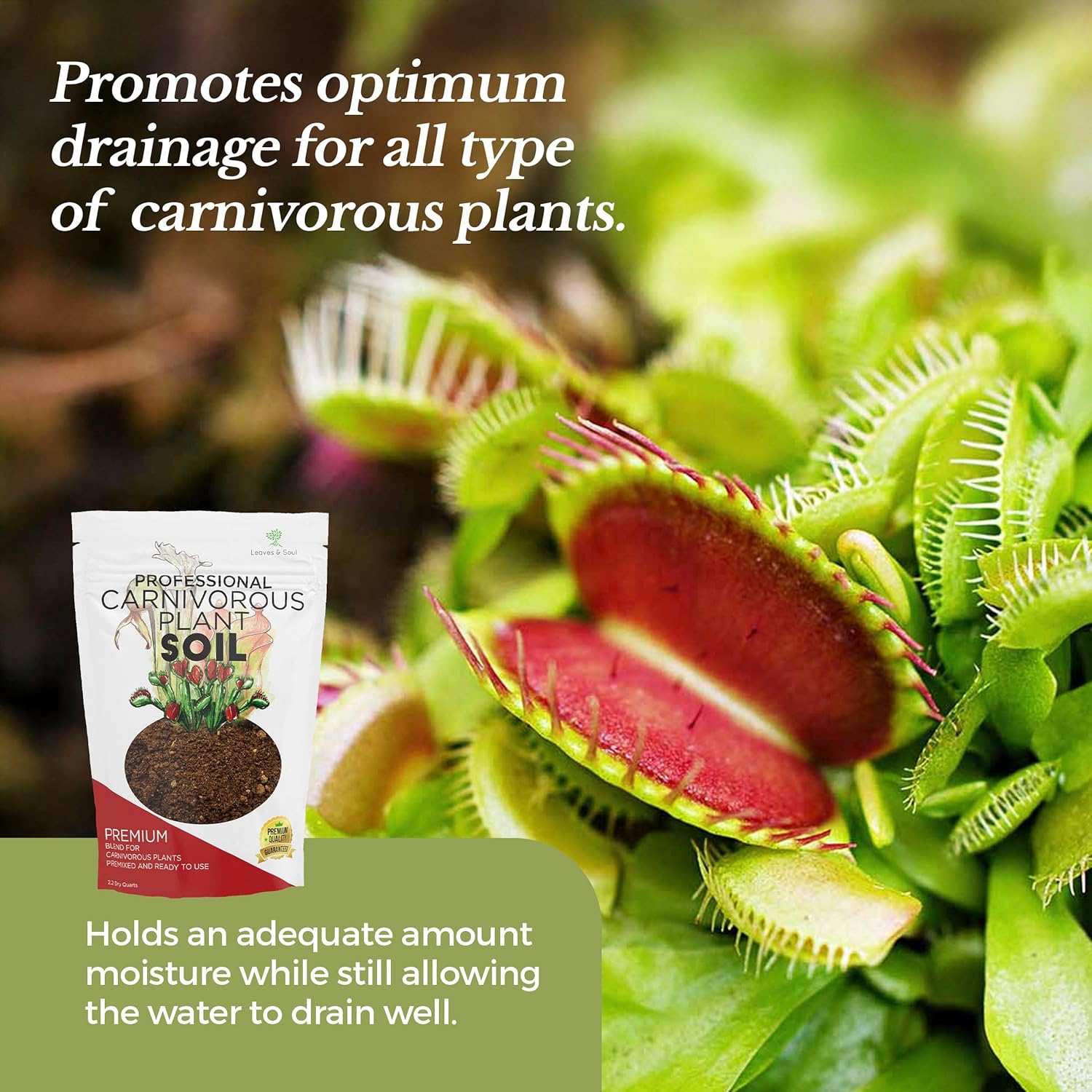 Professional Carnivorous Plant Soil | Pre-Mixed 2.2 Dry Quarts
