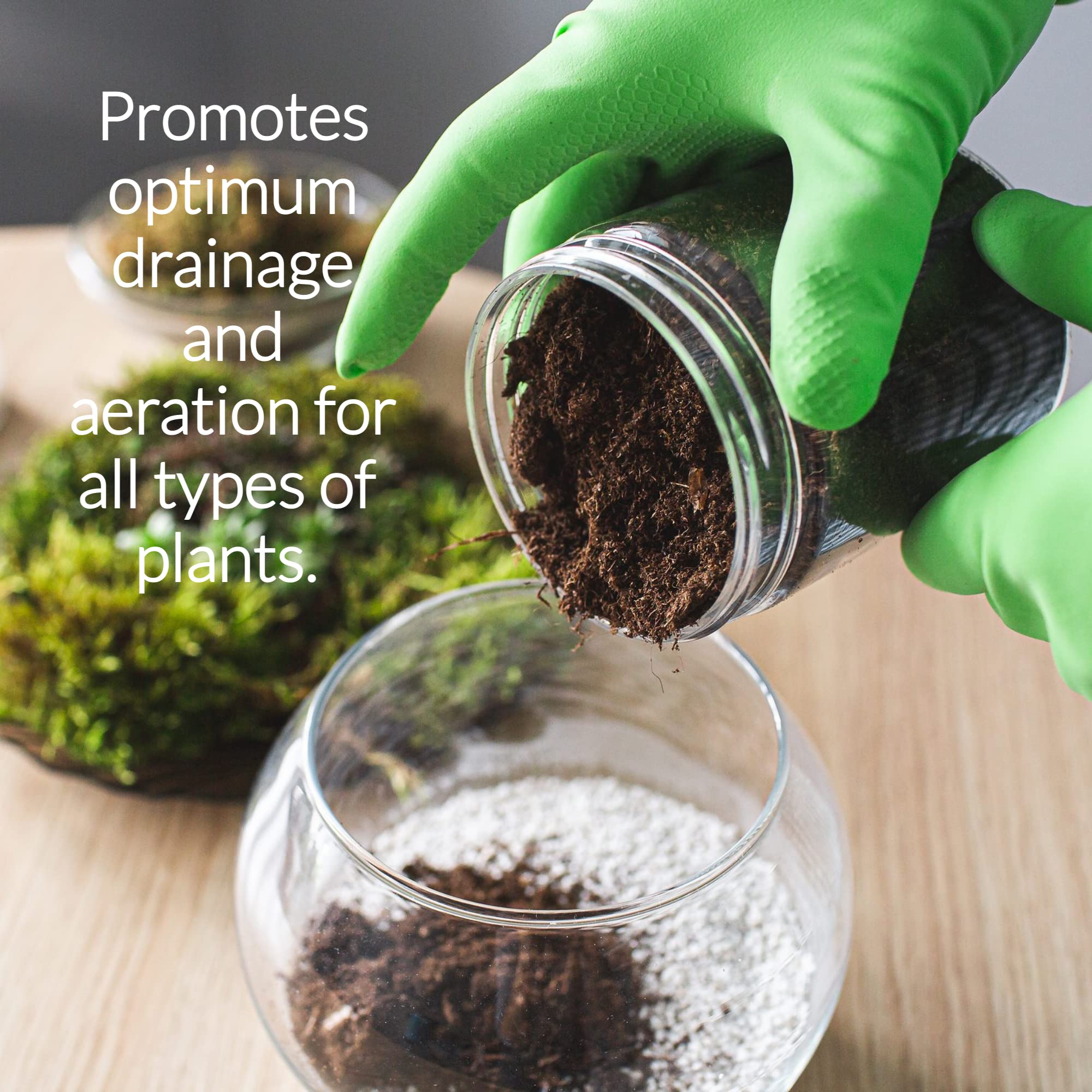 Professional Perlite | Large 2.2 Quarts | Medium Grade for Container and Garden Plants