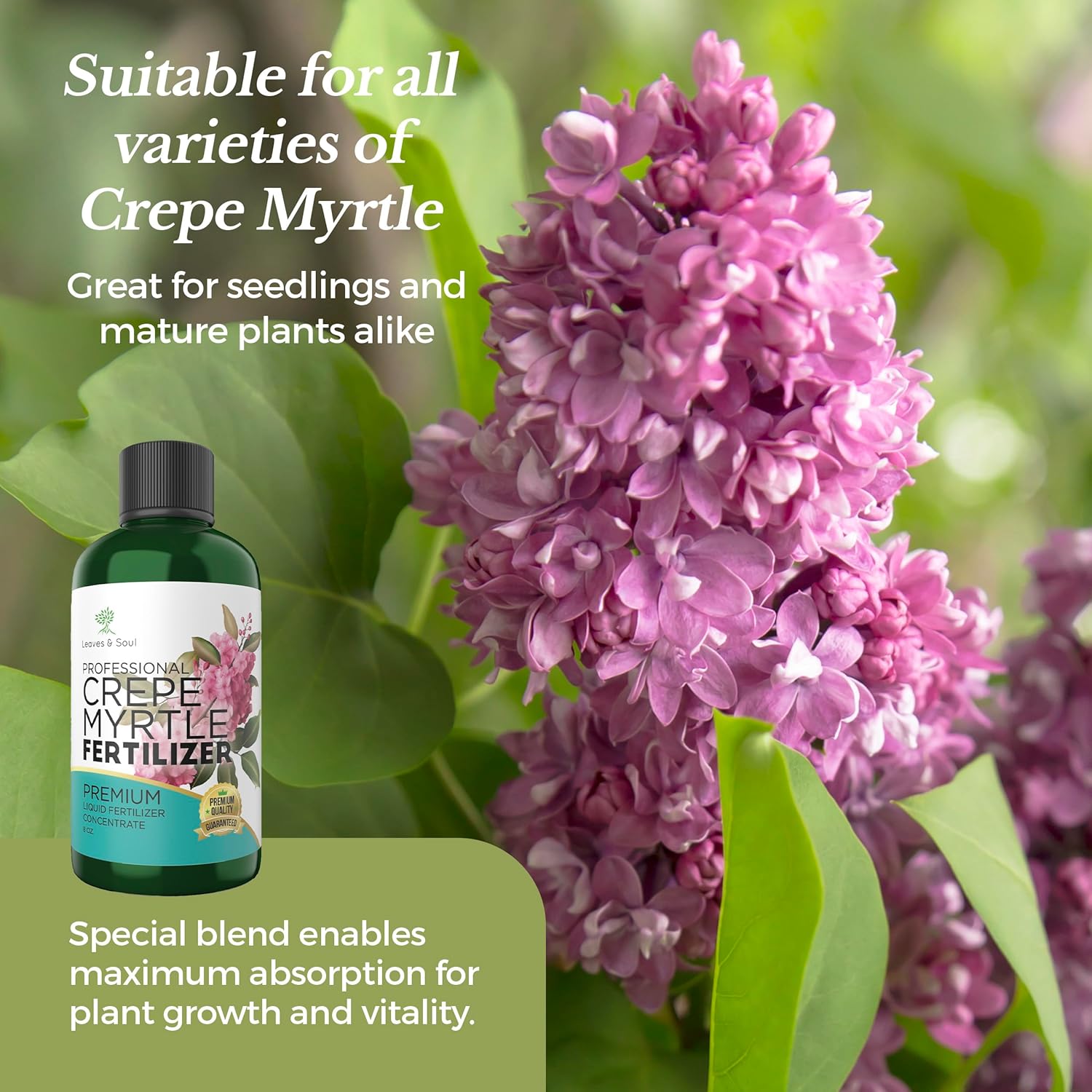 Leaves and Soul Crepe Myrtle Professional Liquid Fertilizer - Complete 3-5-4 Nutrient Blend Concentrate for Enhanced Blooming & Growth - Perfect for Garden & Indoor Plants, Easy Application - 8 oz