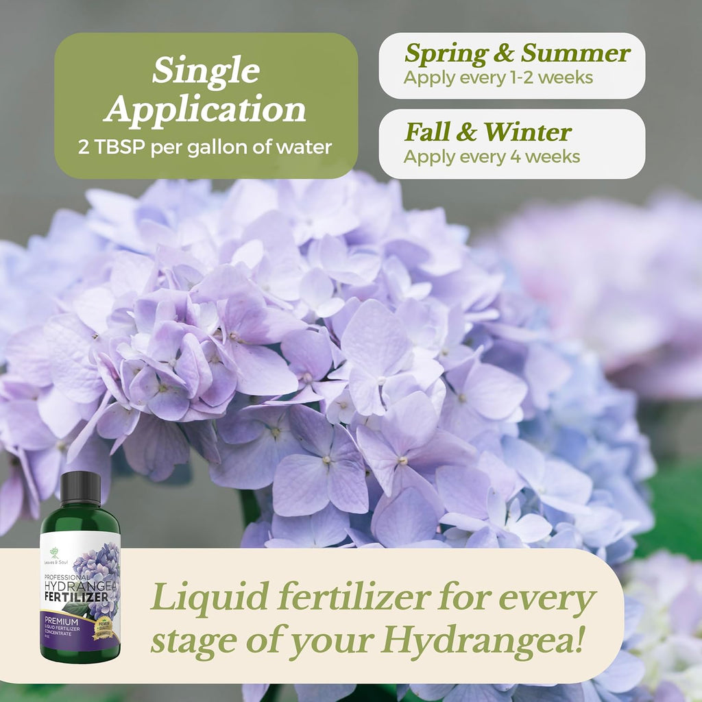 Leaves and Soul Hydrangea Professional Liquid Fertilizer - Complete 3-5-4 Nutrient Blend Concentrate for Enhanced Blooming & Growth - Perfect for Garden & Indoor Plants - New & Improved Blend - 8 oz
