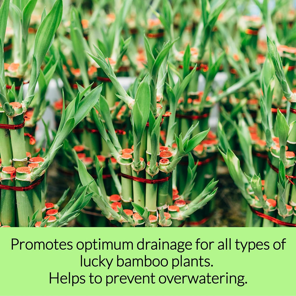 Professional Lucky Bamboo Soil | Large 2.2 Quarts Ready to Use for Lucky Bamboo Plants | Peat Moss, Coco Coir, Perlite, Dolomite