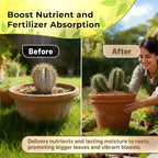 Professional Clay Pebbles