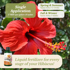 Leaves and Soul Hibiscus Professional Liquid Fertilizer - Complete 3-5-4 Nutrient Blend Concentrate for Enhanced Blooming & Growth - Perfect for Garden & Indoor Plants, New & Improved Blend - 8 oz