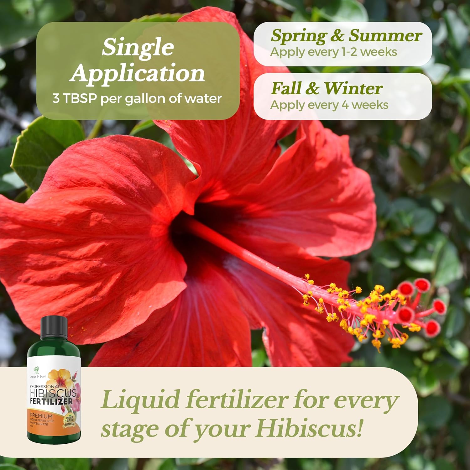 Leaves and Soul Hibiscus Professional Liquid Fertilizer - Complete 3-5-4 Nutrient Blend Concentrate for Enhanced Blooming & Growth - Perfect for Garden & Indoor Plants, New & Improved Blend - 8 oz