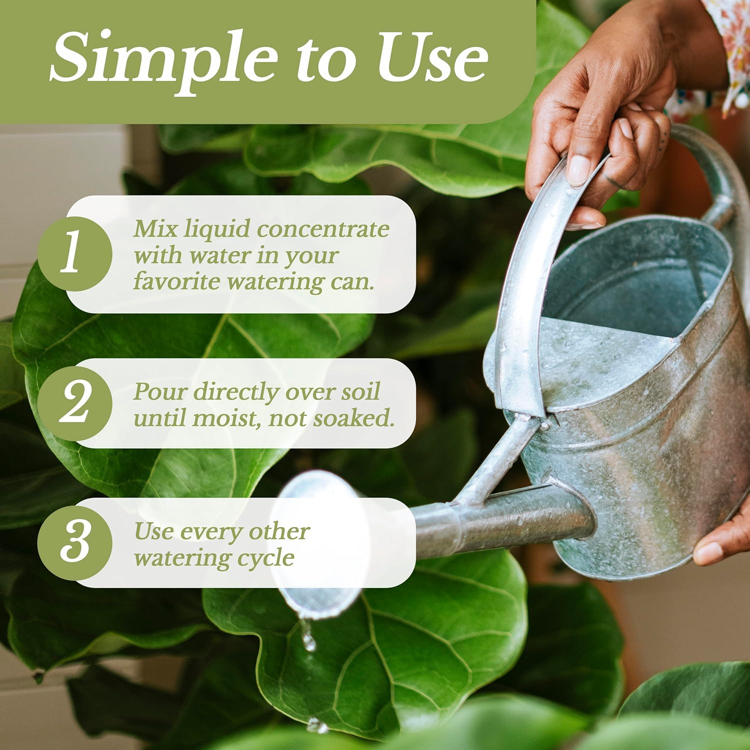 Professional Liquid Bonsai Plant Fertilizer