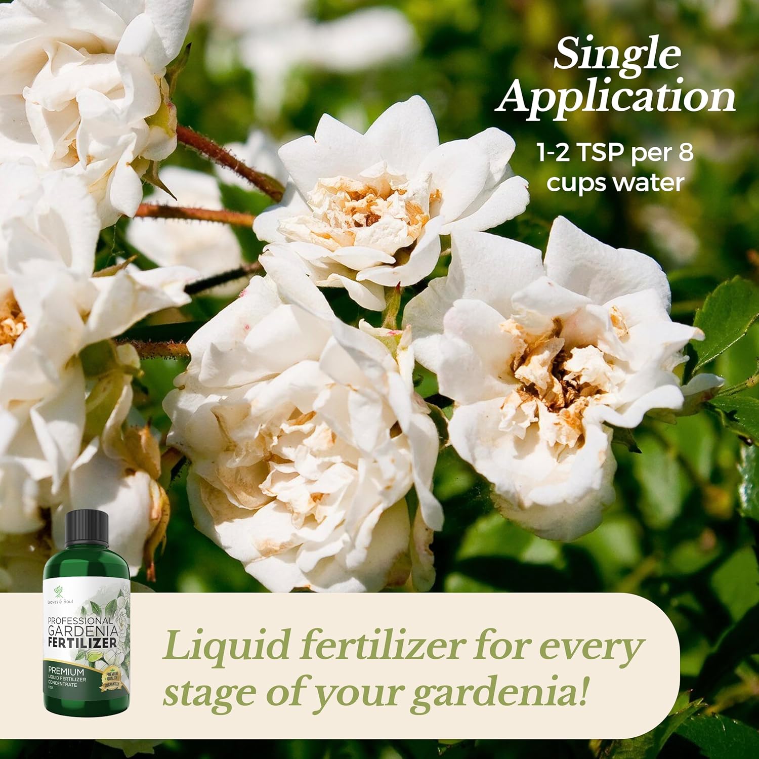 liquid fertilizer for rose plant Professional Liquid Gardenia Plant Fertilizer