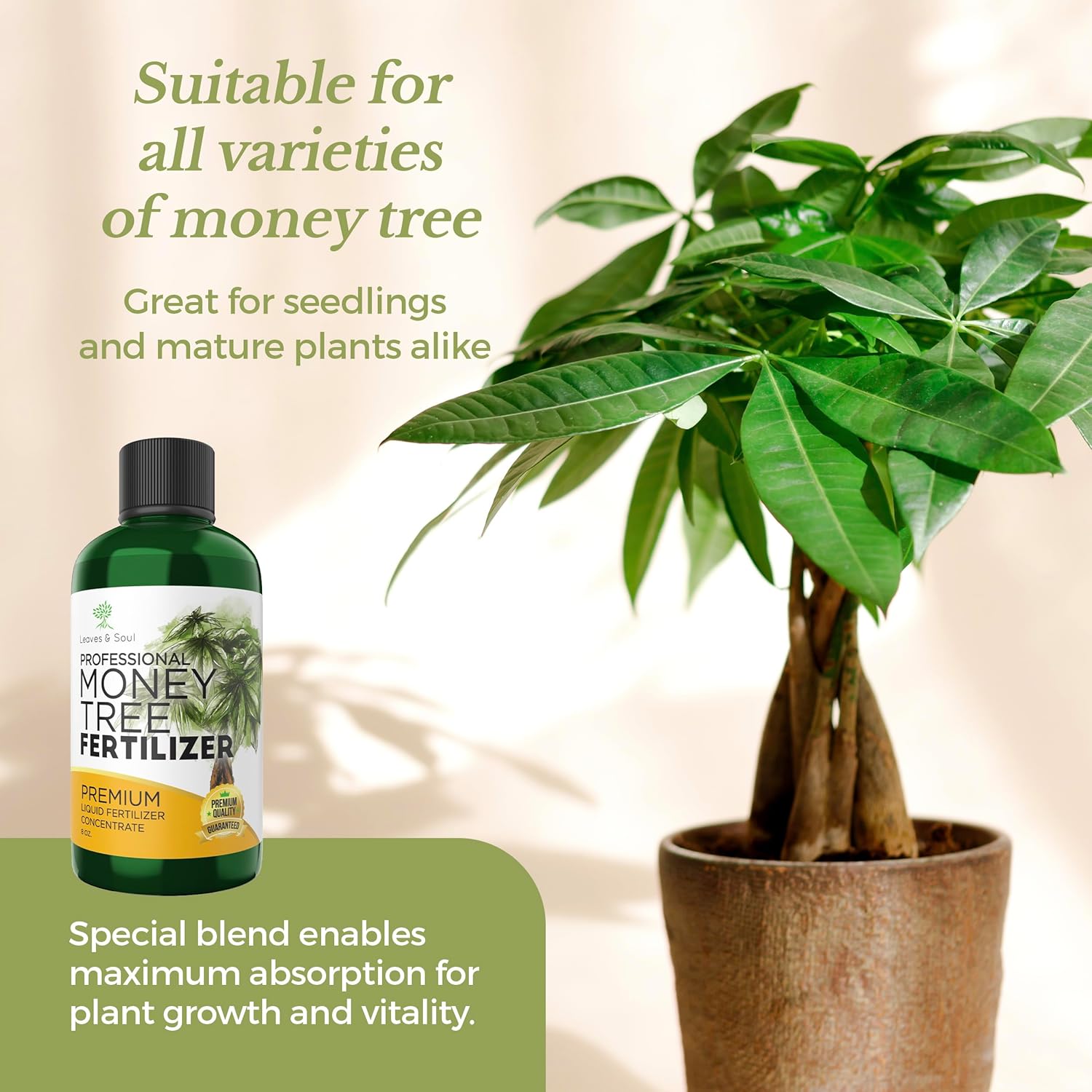 money tree fertilizer Professional Liquid Money Tree Fertilizer