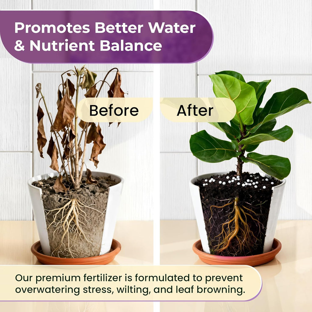 Fiddle Leaf Fig and House Plant Fertilizer Pellets | 16-5-11 Slow Release