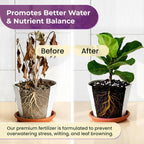 Fiddle Leaf Fig and House Plant Fertilizer Pellets | 16-5-11 Slow Release