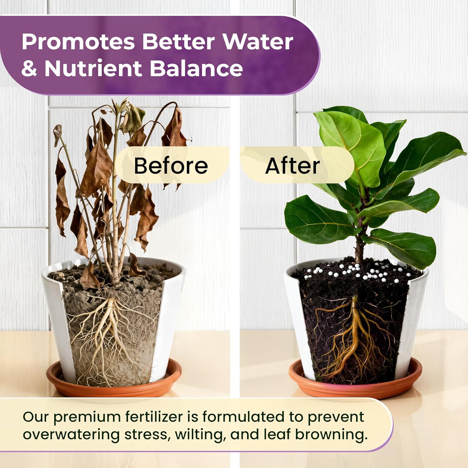 Fiddle Leaf Fig and House Plant Fertilizer Pellets | 16-5-11 Slow Release