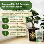 Bonsai Fertilizer Pellets | 18-6-8 Slow Release