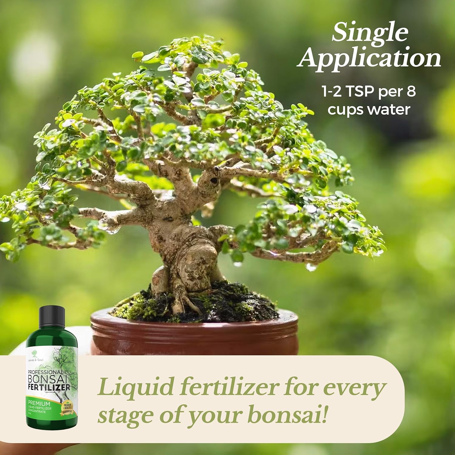 Professional Liquid Bonsai Plant Fertilizer