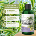 Professional Liquid Dracaena Plant Fertilizer | 3-1-2 Concentrate for Indoor Dracaena |8 oz Bottle