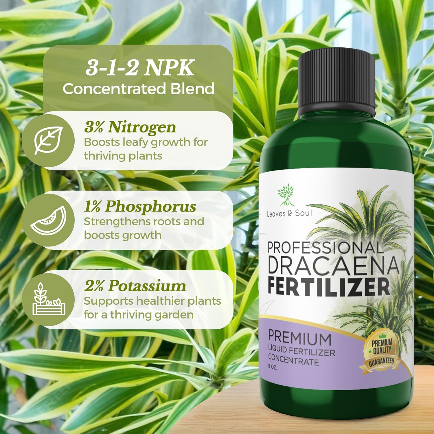 Professional Liquid Dracaena Plant Fertilizer | 3-1-2 Concentrate for Indoor Dracaena |8 oz Bottle