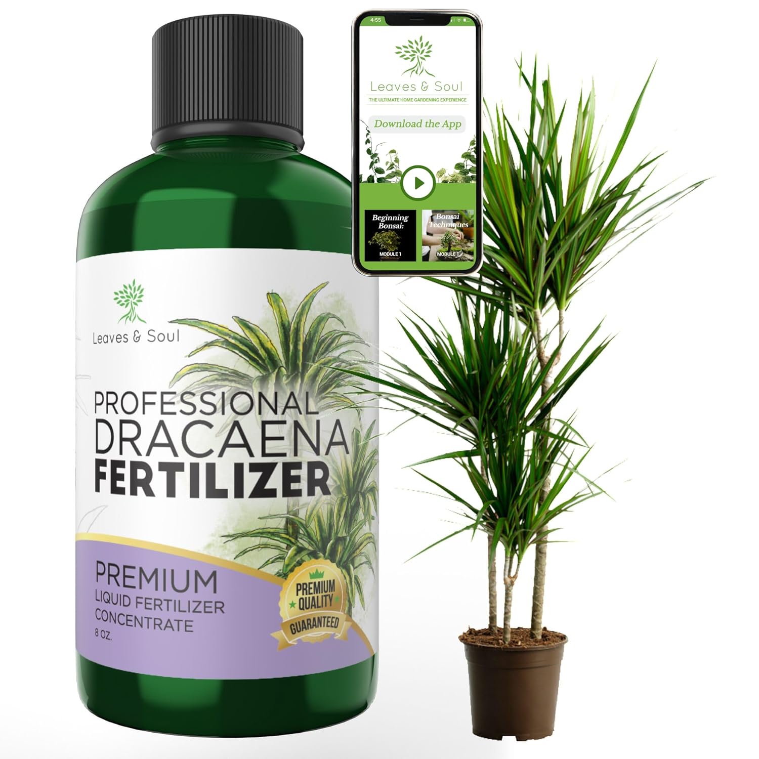 Professional Liquid Dracaena Plant Fertilizer | 3-1-2 Concentrate for Indoor Dracaena |8 oz Bottle