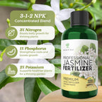 Professional Liquid Jasmine Fertilizer | 3-1-2 Concentrate for Plants and Flowers | 8 oz Bottle (Jasmine)