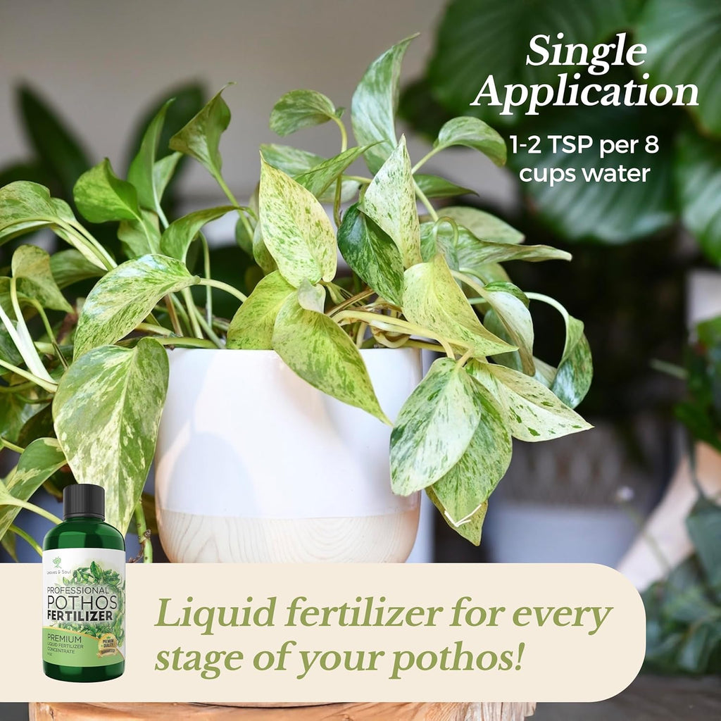 Professional Liquid Pothos Plant Fertilizer | 3-1-2 Concentrate for Epipremnums and Houseplants | 8 oz Bottle
