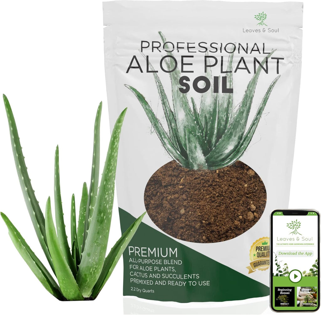 Professional Aloe Plant Soil | Pre-Mixed 2.2 Dry Quarts