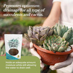 Premium Succulent Soil All Purpose Blend | Pre-mixed 2.2 and 8.2 Dry Quarts