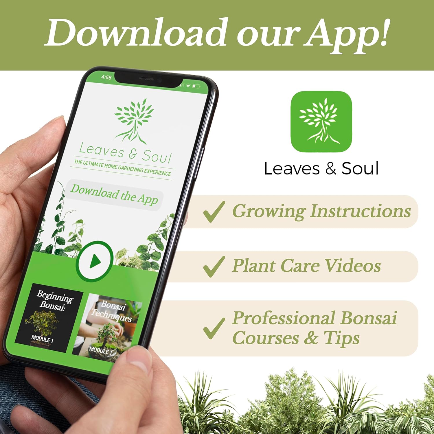 Professional Liquid Indoor Plant Fertilizer