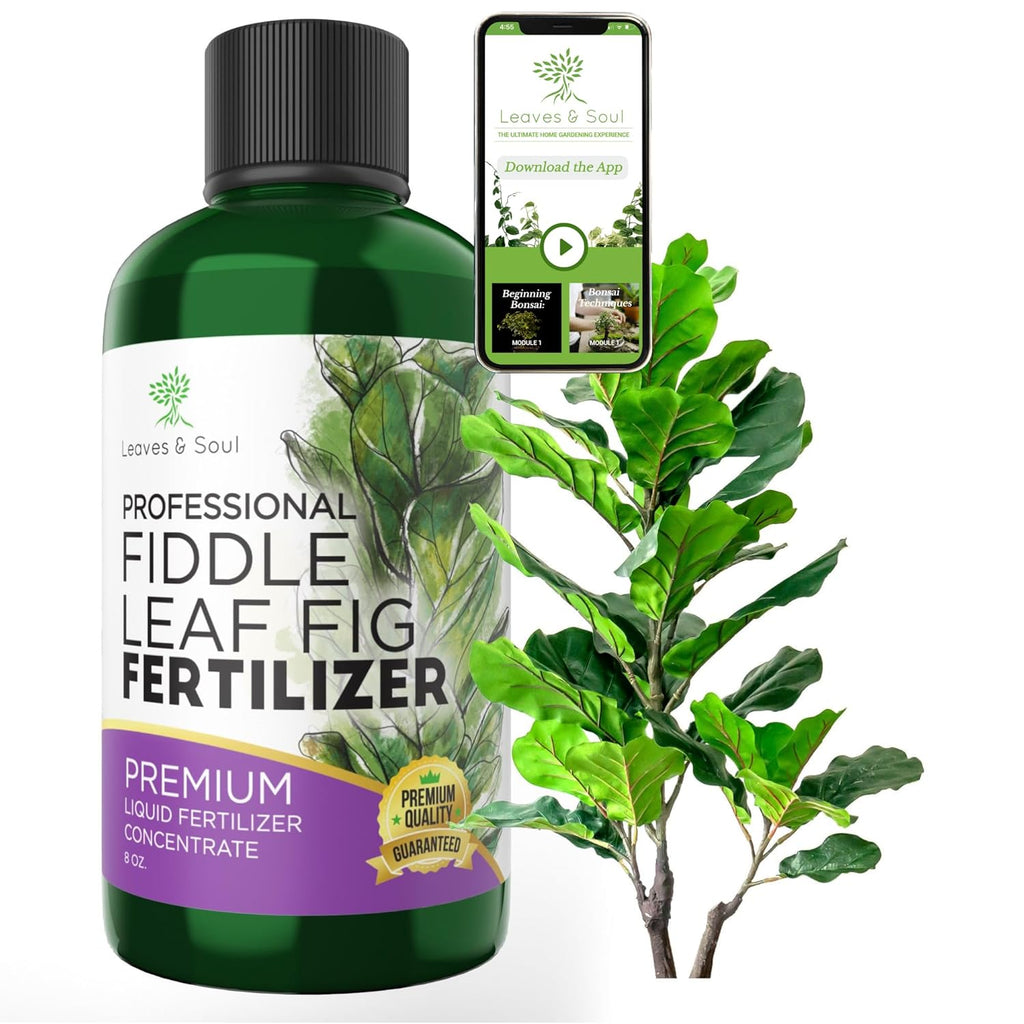 Professional Liquid Fiddle Leaf Fig Plant Fertilizer