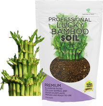 Load image into Gallery viewer, Professional Lucky Bamboo Soil | Large 2.2 Quarts Ready to Use for Lucky Bamboo Plants | Peat Moss, Coco Coir, Perlite, Dolomite
