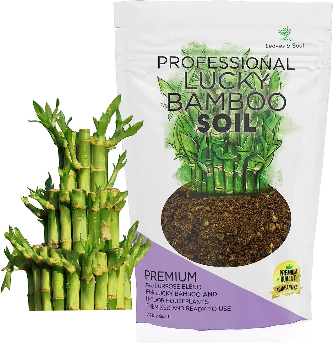 Professional Lucky Bamboo Soil | Large 2.2 Quarts Ready to Use for Lucky Bamboo Plants | Peat Moss, Coco Coir, Perlite, Dolomite