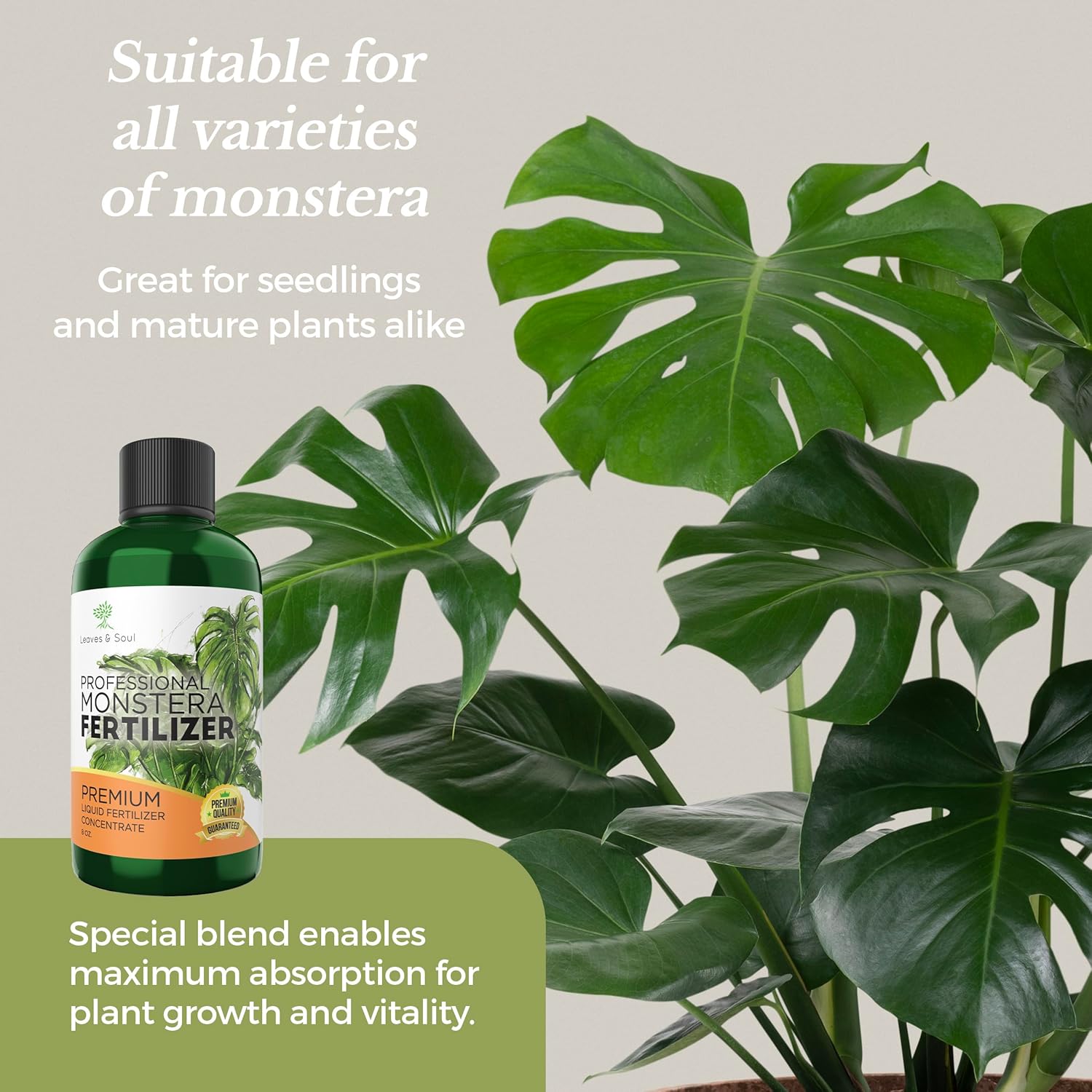 best fertilizer for monstera plant Professional Monstera Plant Fertilizer – Leaves and Soul