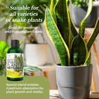 Professional Liquid Snake Plant Fertilizer