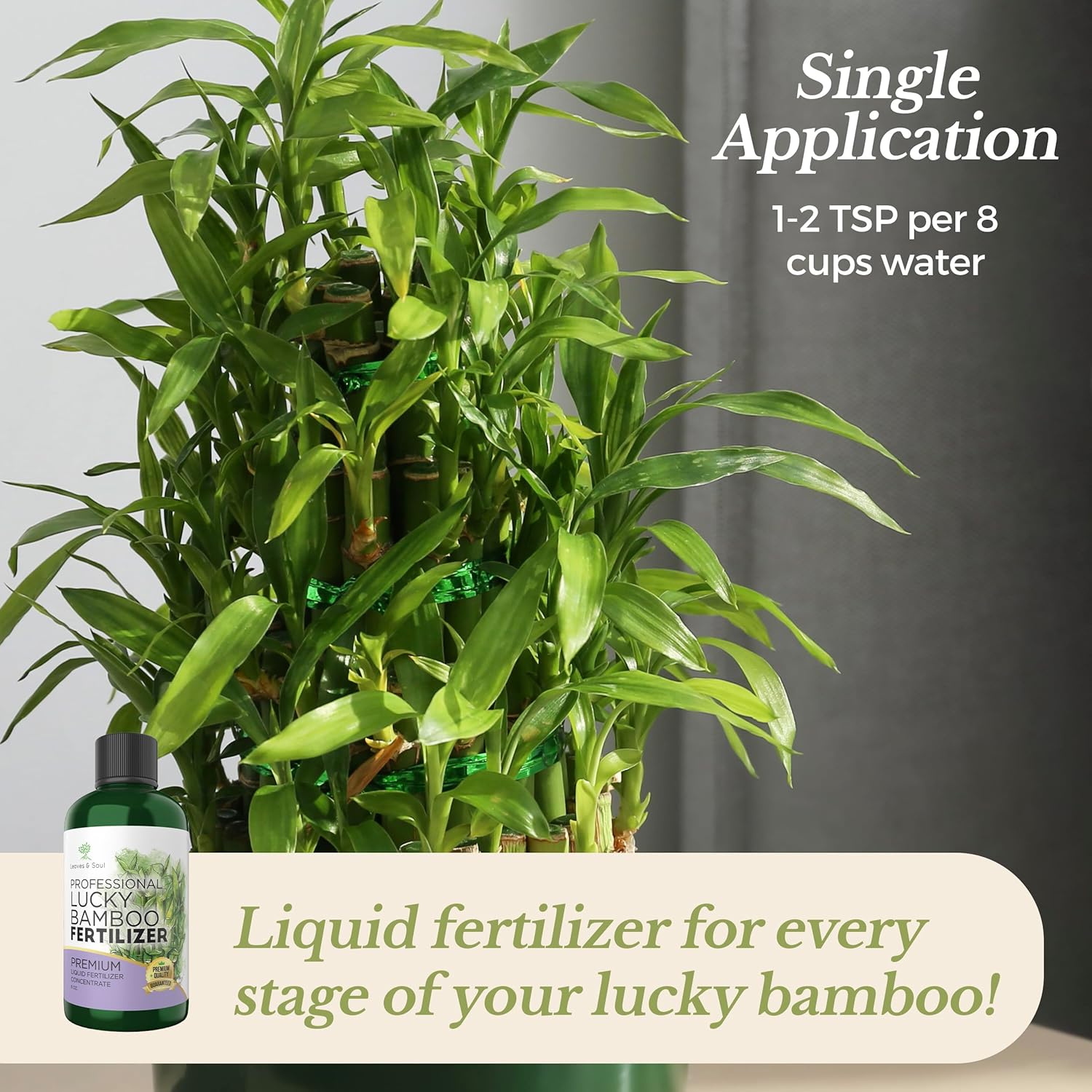 Professional Liquid Lucky Bamboo Fertilizer | 3-1-2 Concentrate for Flowering Plants | Multi-Purpose Blend & Gardening Supplies | 8 oz Bottle