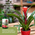 Professional Liquid Bromeliad Plant Fertilizer