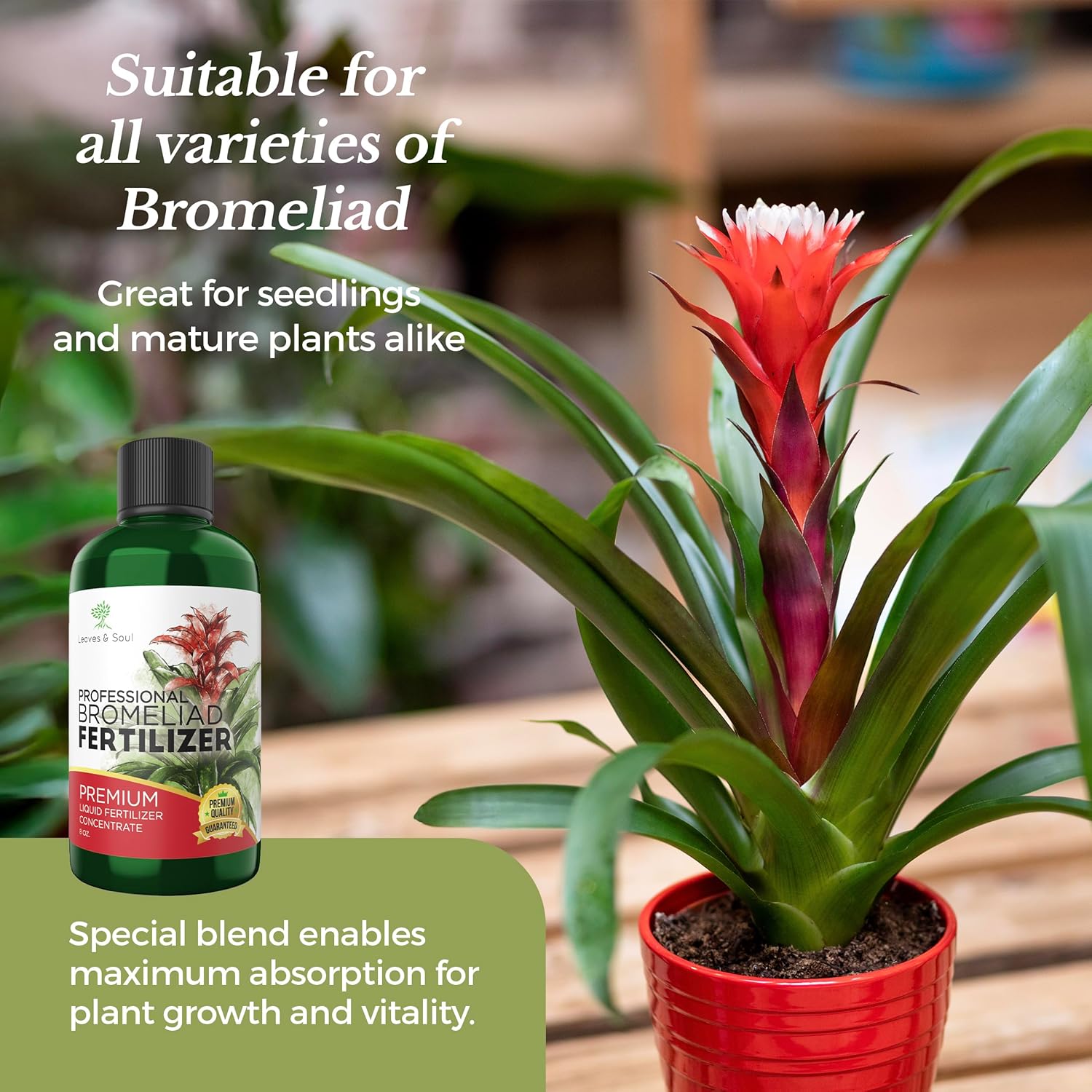 Professional Liquid Bromeliad Plant Fertilizer