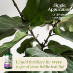 Professional Liquid Fiddle Leaf Fig Plant Fertilizer