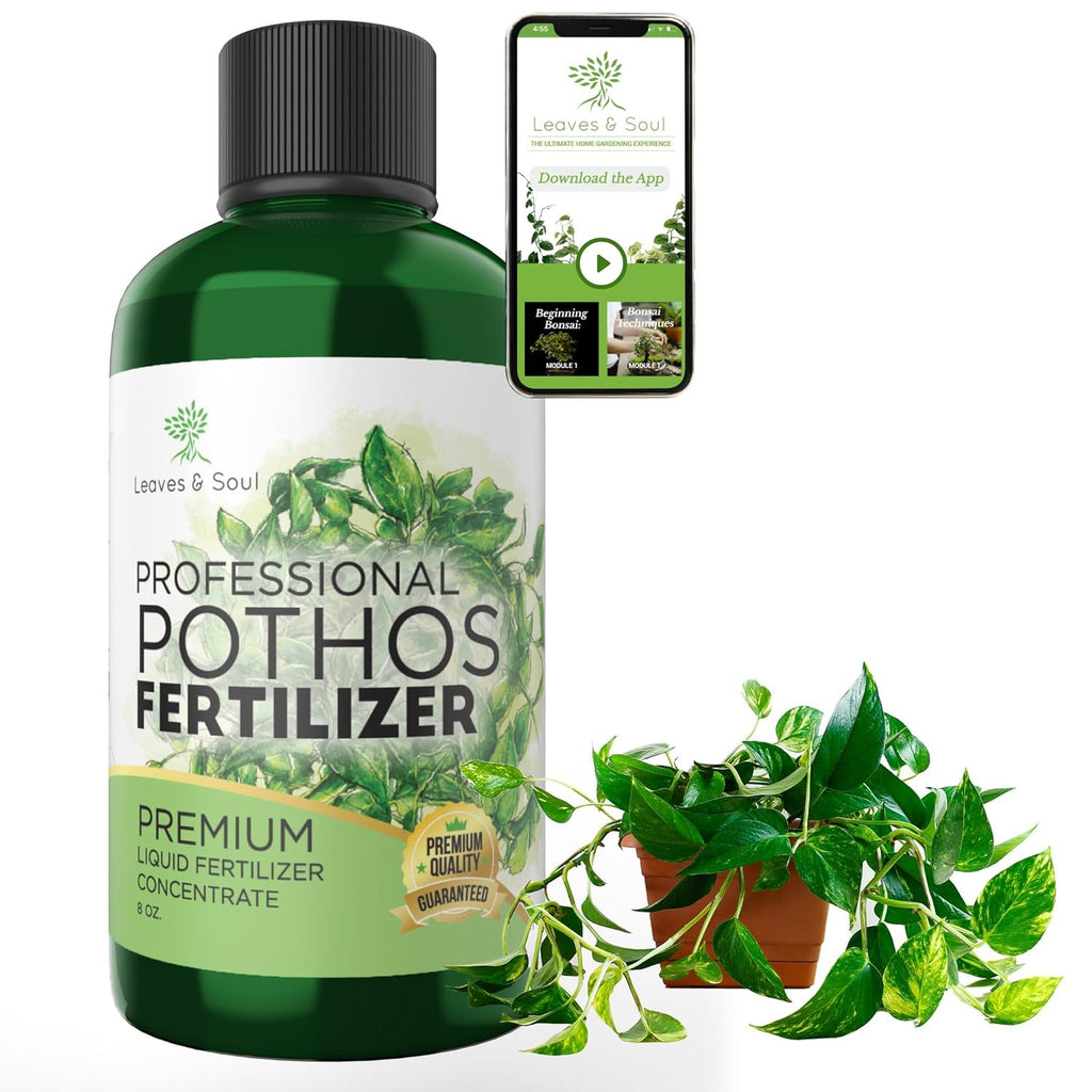 Professional Liquid Pothos Plant Fertilizer | 3-1-2 Concentrate for Epipremnums and Houseplants | 8 oz Bottle